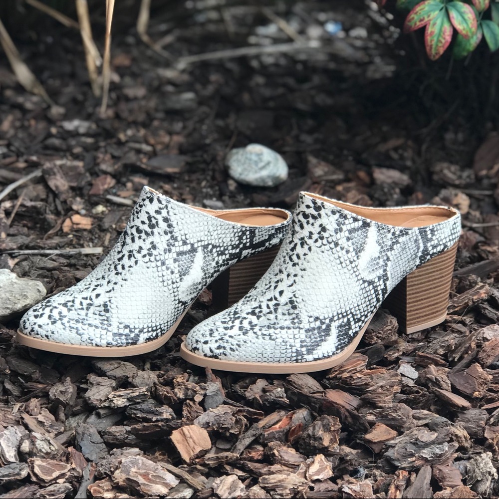 😍restock Snake skin mule - Picture 6 of 8